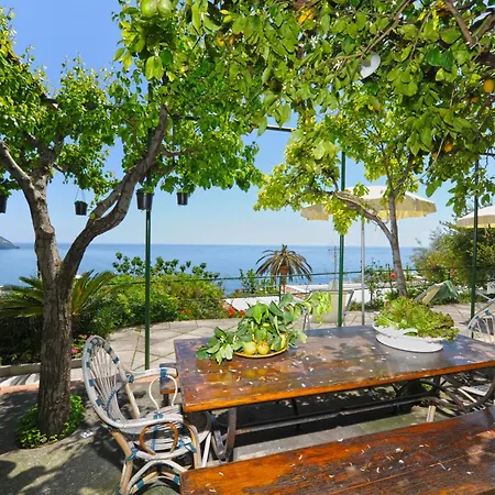 Lejlighed Sorrento Holidays - Casa Fornetto E Casa Forno *